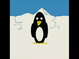 Mr. Pinguino e le lezioni di cucina.