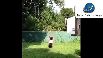 Best Funny Jokes In Hindi Funny Marriage Jokes Funny Videos For Funnies Video