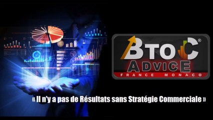 BTOCADVICE CONSULTANT MARKETING EXPERT EN ORGANISATION COMMERCIALE