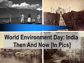 World Environment Day  India Then and Now In Pics