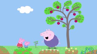 Свинка Пеппа - В саду (S01E10) (на русском, HD)