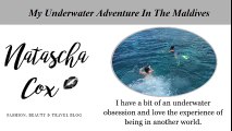 My Underwater Adventure In The Maldives