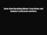 Read Full Zoom: How Everything Moves: From Atoms and Galaxies to Blizzards and Bees PDF Online
