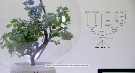 Microsoft lavora a Florence: come parlare con le piante