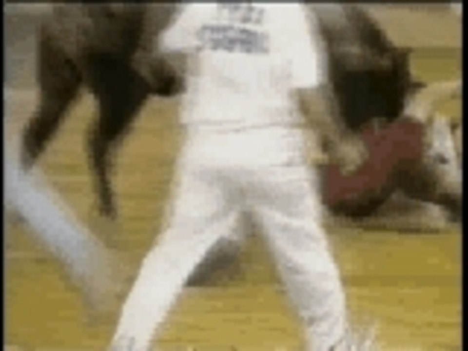 Taureau Corne Matador Boga