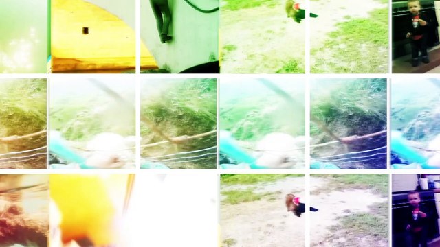 Amazing Rescues - Animals Rescuing Humans | Humans Rescuing Animals