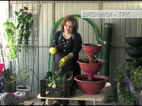 Провинциальные заметки . Передача от 09.06.2016