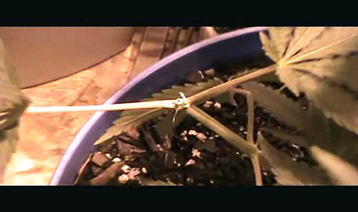 UPDATE VIDEO  8/24/10