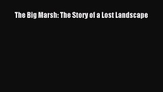 Read Books The Big Marsh: The Story of a Lost Landscape E-Book Free