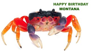 Montana  Animals & Animales - Happy Birthday