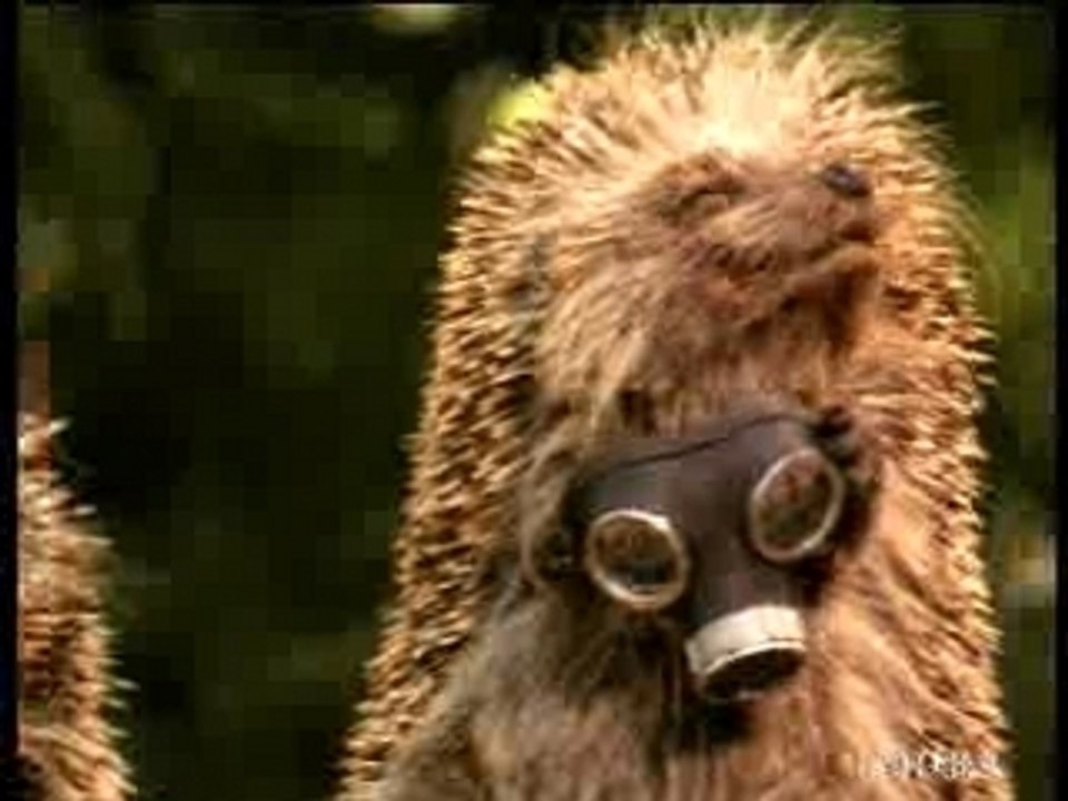 Pourquoi polluer ?