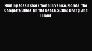 Download Books Hunting Fossil Shark Teeth In Venice Florida: The Complete Guide: On The Beach