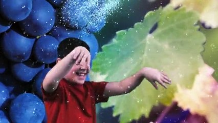 La France accueille l'Euro 2016