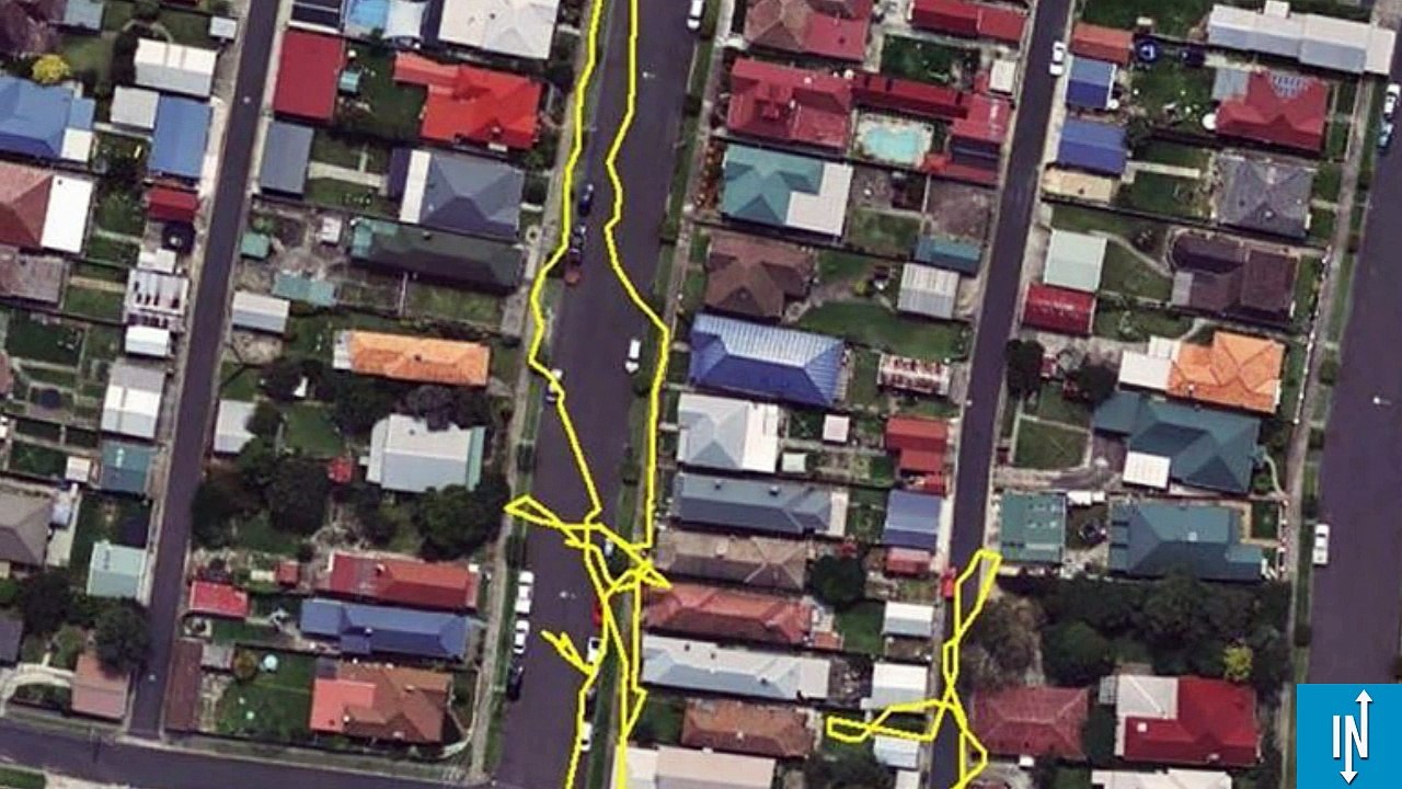 Ce traceur GPS vous dévoile les aventures secrètes de votre chat la nuit