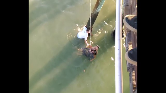 2 héros sauvent une jeune fille de la noyade