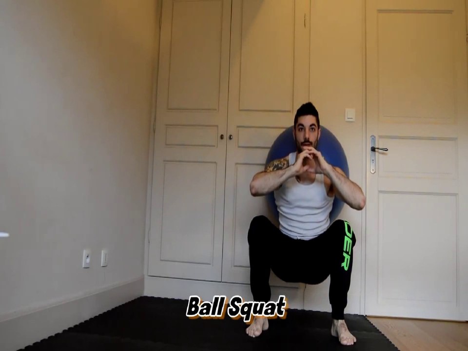 SWISSBALL Tutorial Exercices