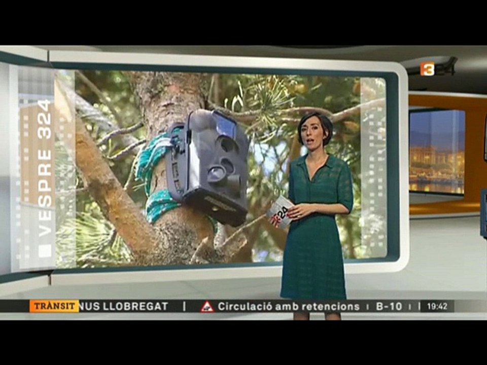 Judith Antequera amb transparències 09/06/2016 2