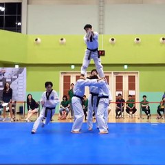 Il casse une planche d'un coup de pied à 4m de hauteur