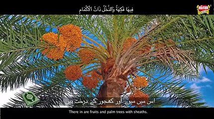 Surah e Rahman By Anas Younus - Ramadan 2016