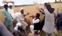 Amazing featival in punjab during harvesting crops:
