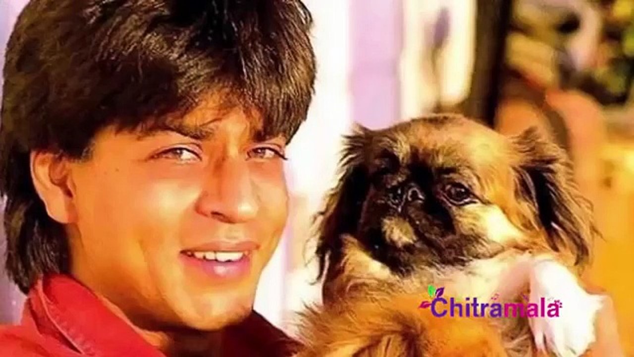 Bollywood Celebs And Their Pets
