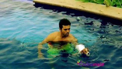 Tollywood Celebs and Their Pets