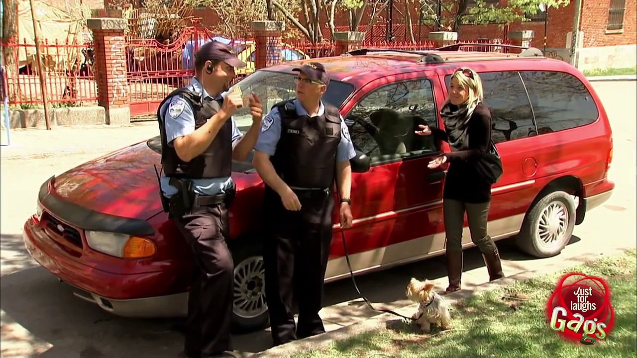 Just For Laughs Gags - Strongest puppy in the WORLD