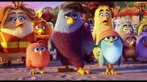 THE ANGRY BIRDS MOVIE TV Spot - Meet The Pigs (2016) Animated Comedy Movie HD