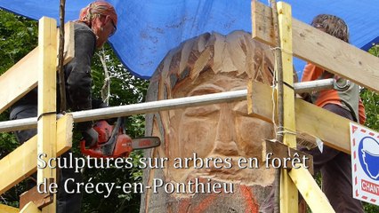 Sculptures sur arbres en forêt de Crécy-en-Ponthieu