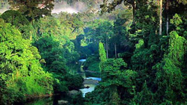 Azymuth Dear limmertz Brazilians JazzFunk Fusion HD720 m2 Basscover Bob Roha