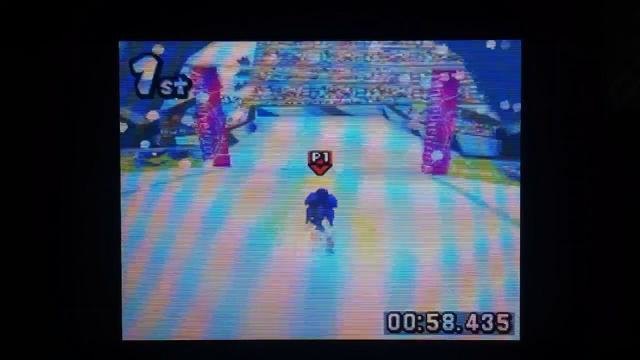 Mario & Sonic at the Olympic Winter Games DS