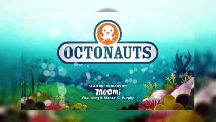 Watch The Octonauts S03E13 The Harbour Seal