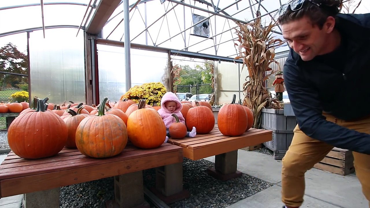 Pumpkin Patch FAIL