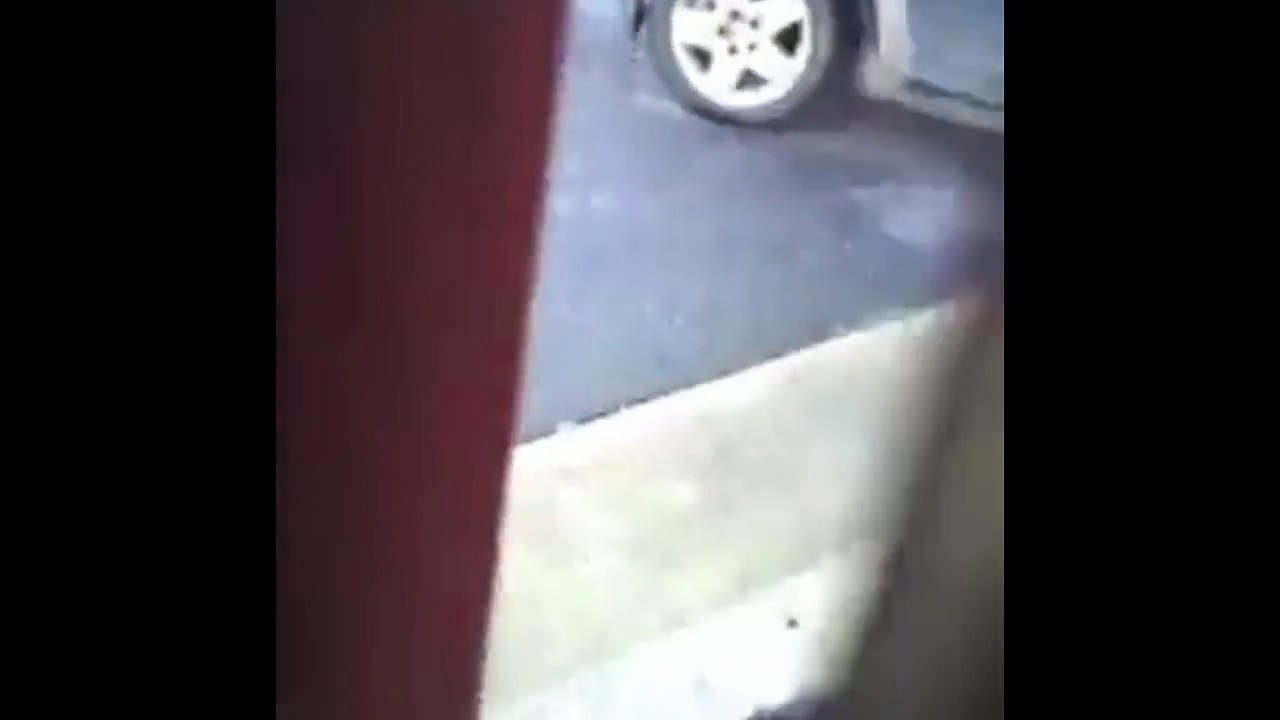 Stray Cat Gets Head Stuck in Bag of Crisps, Seeks Human Help