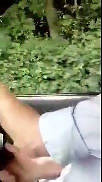 Labrador Tries and Fails to Jump Into Car, Then Tries Again