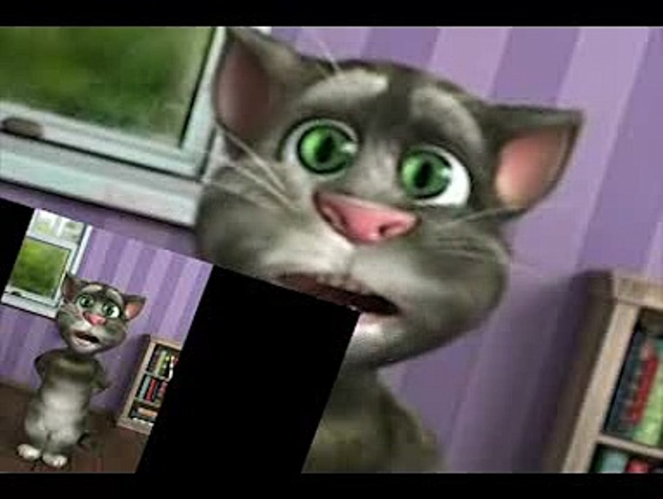 talking tom funny nepali billi 2016