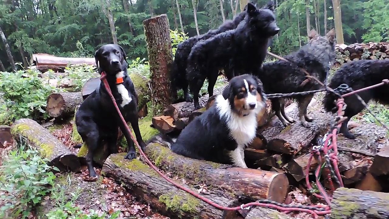 Le Rakuen promenades 2016-05 Eden & Lou HD