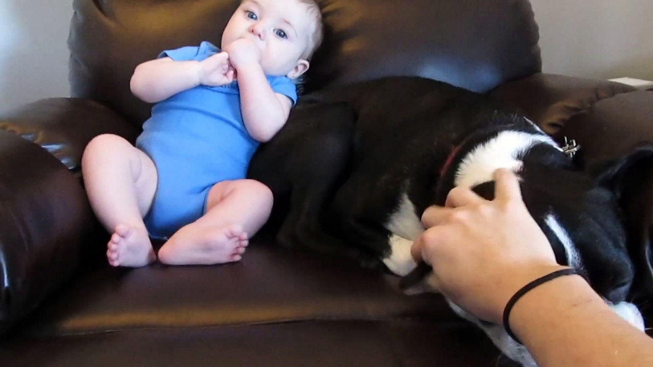 a pleurer de rire ....