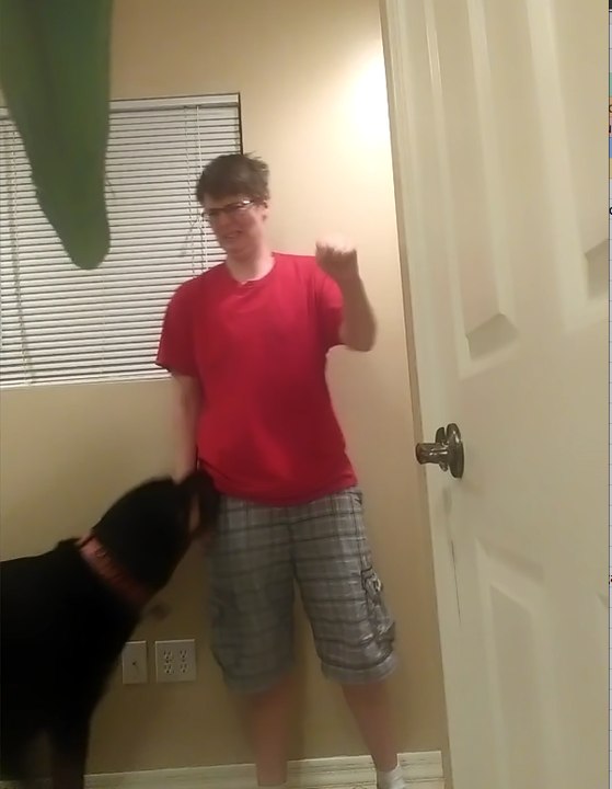 Man's best friend