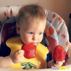 Ça se mange des fraises -)