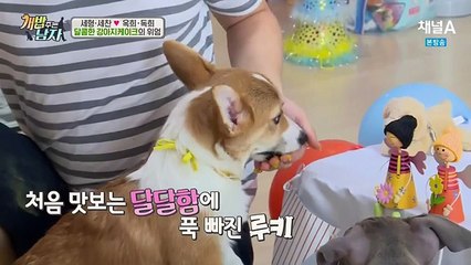 개밥 주는 남자.E26.160610.HD-2