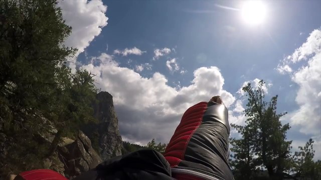 Peregrine Falcon Chases Human Wingsuit Pilot Brendan Weinstein Proximity Flying