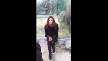 Au Zoo, cette femme échappe de justesse à l'attaque du tigre