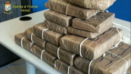 Ora News – Trafik droge nga Shqipëria e Holanda, arrestohet 36 shqiptarë dhe italianë