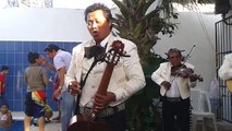 Corrido de Mazatlan Mariachi Alma Juvenil De Cozumel.