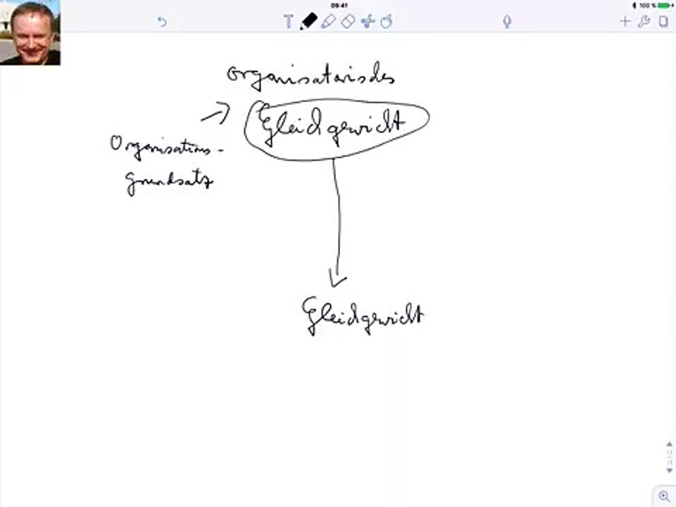 Organisationsgrundsatz, organisatorisches Gleichgewicht