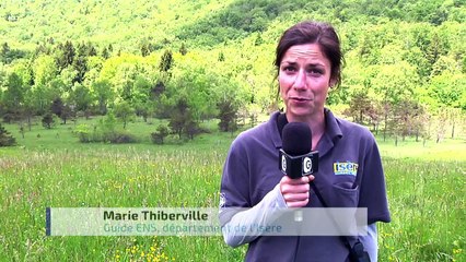 RHONE ALPES Actu - 10 JUIN 2016