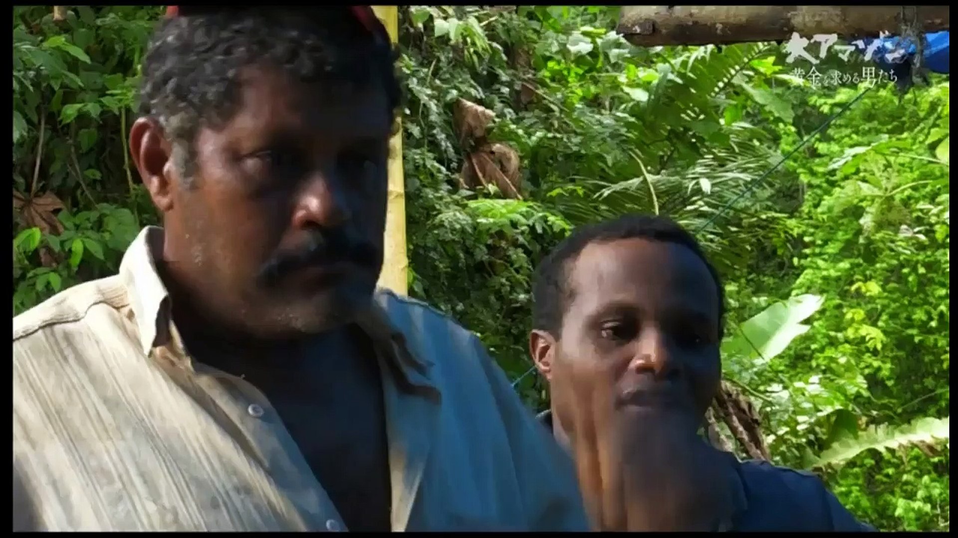 ｎｈｋスペシャル 大アマゾン 最後の秘境 第２集 ガリンペイロ 160 Video Dailymotion