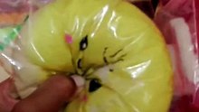 Spam squishy
