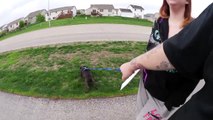 HE JUST HAVE TO POOP! - Daily Vlog Day 251 (04-14-2014)